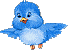 Petit oiseau bleu