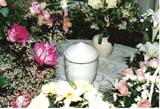 Coralie Fehlen, urne et roses